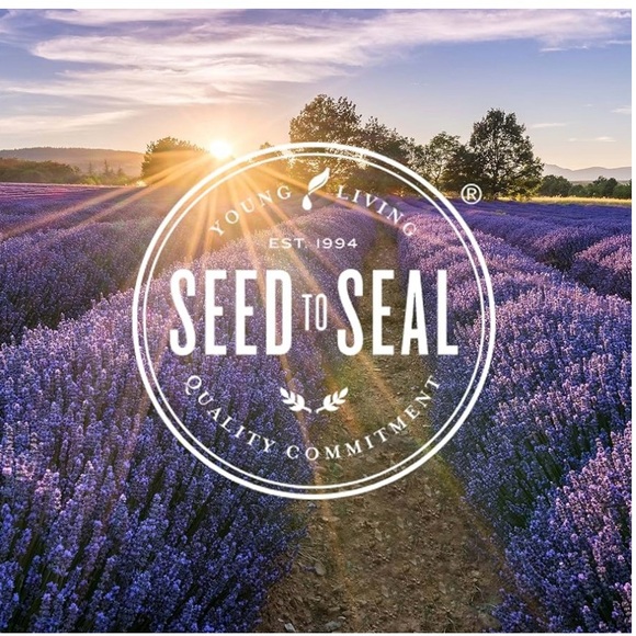 2 x Young Living Desert Mist Ultrasonic Essential Oil Diffusers - new no boxes - Picture 5 of 6